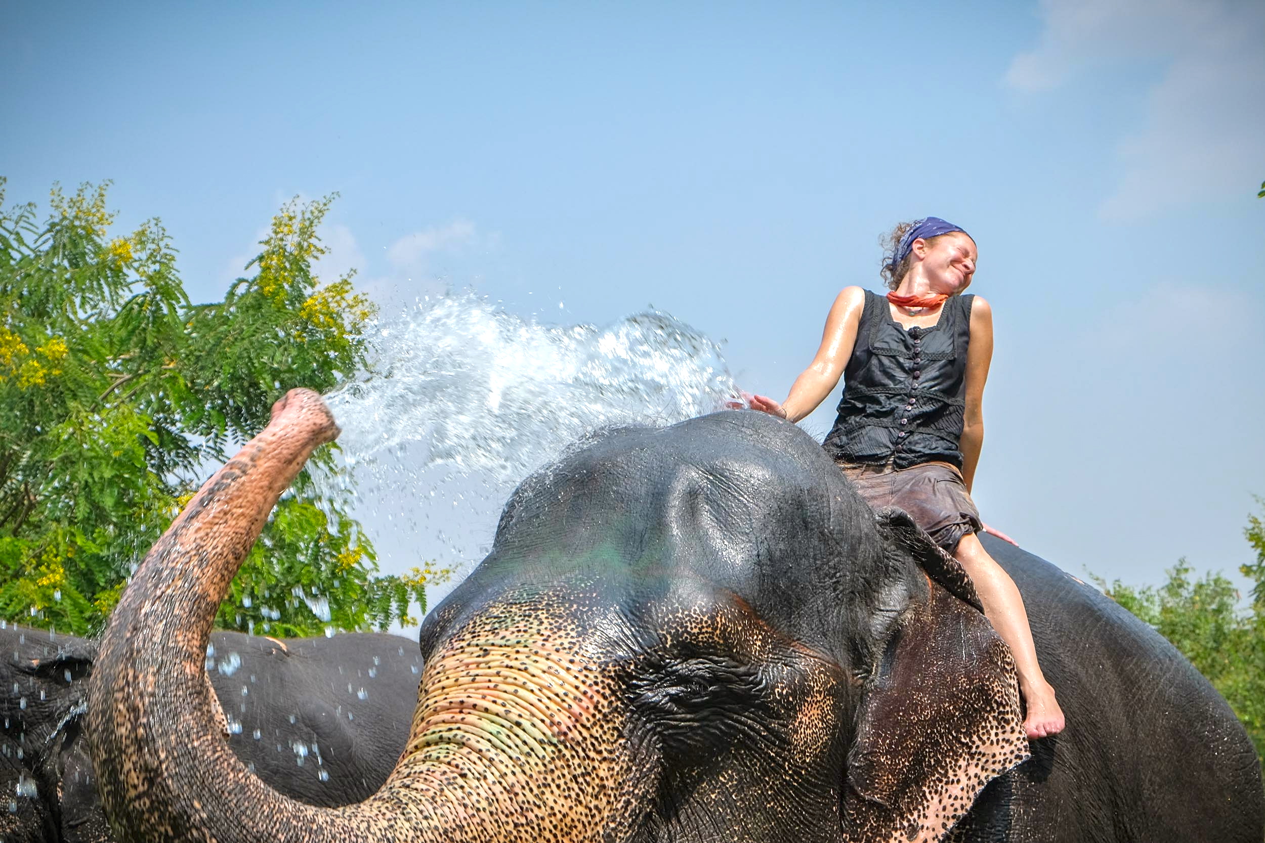 L'expérience des éléphants à Jaipur