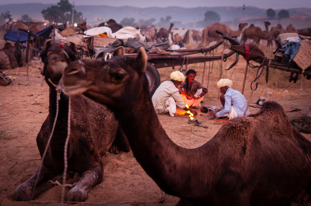 Foire de Pushkar au Rajasthan